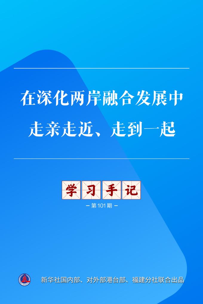 深度解析：世界杯高清赛事数据洞察 - 天天盈球
